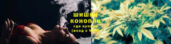 эйфоретик Билибино