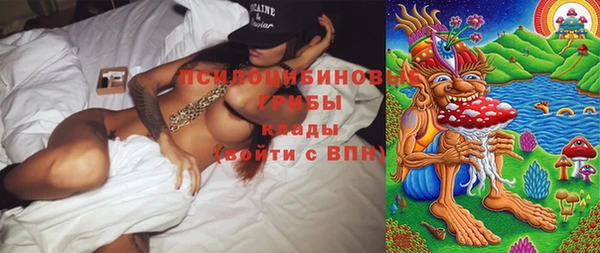 гидропоника Бикин