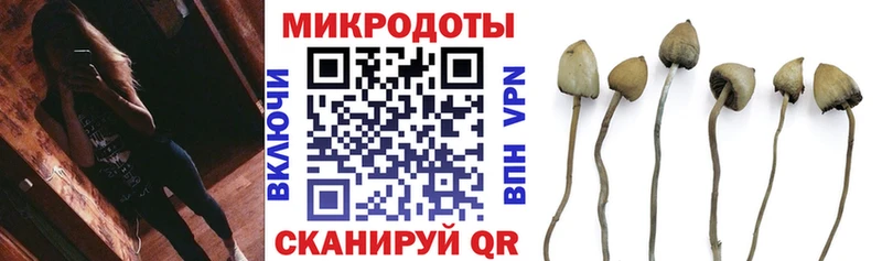 Галлюциногенные грибы мухоморы  shop как зайти  кракен ТОР  Пучеж  где купить наркоту 